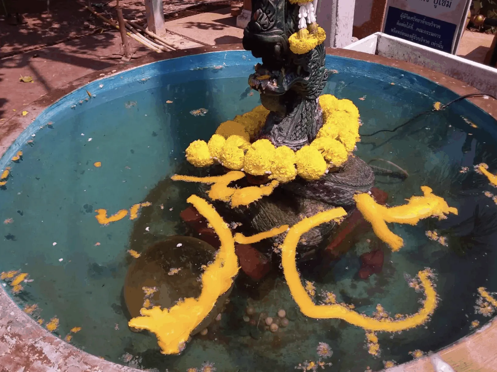 เลขเด็ด ปู่ศรีสุทโธ แม่ย่าศรีปทุมมา