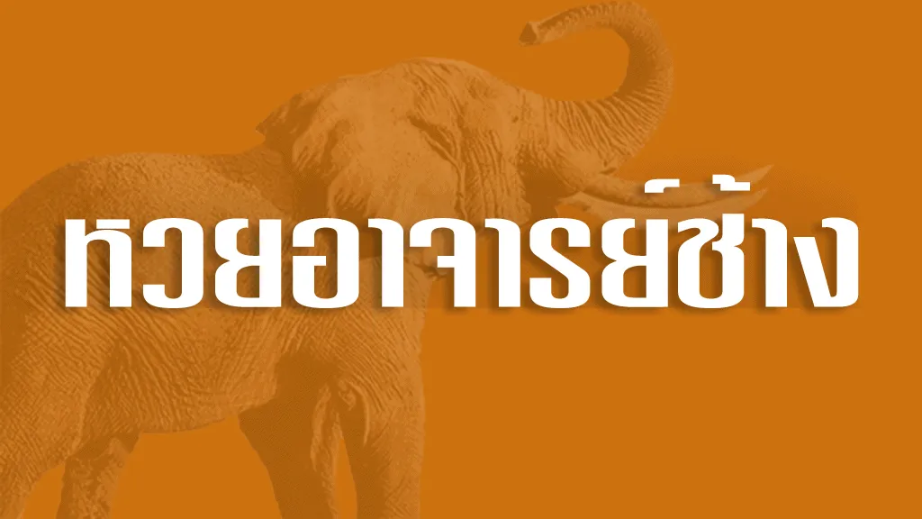 หวยอาจารย์ช้าง