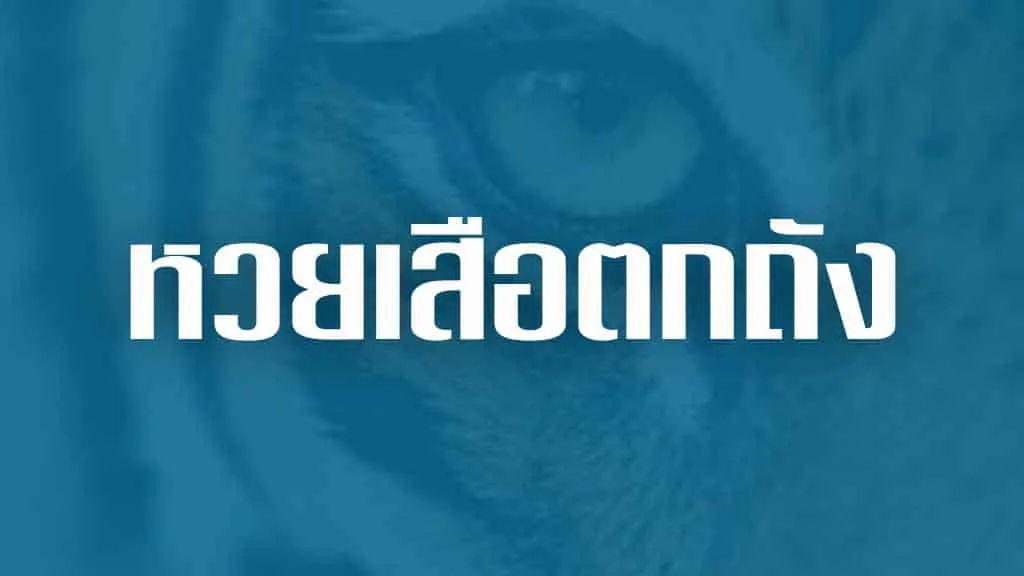เสือตกถังพลังเงินดี