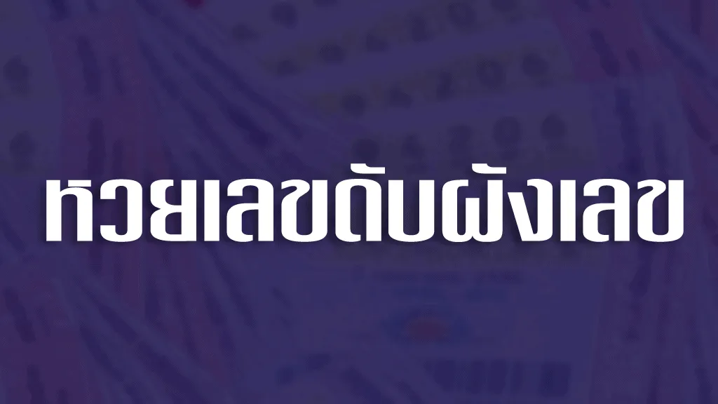 เลขดับผังเลข