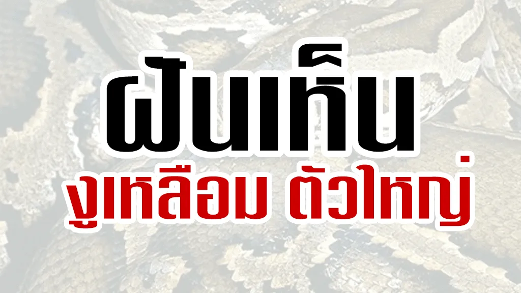 ฝันเห็น งูเหลือม ตัวใหญ่ เลขเด็ด